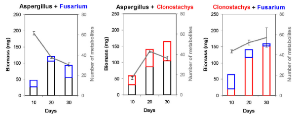 Conflicting views of fungal pathotoxins